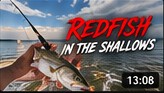 Redfish